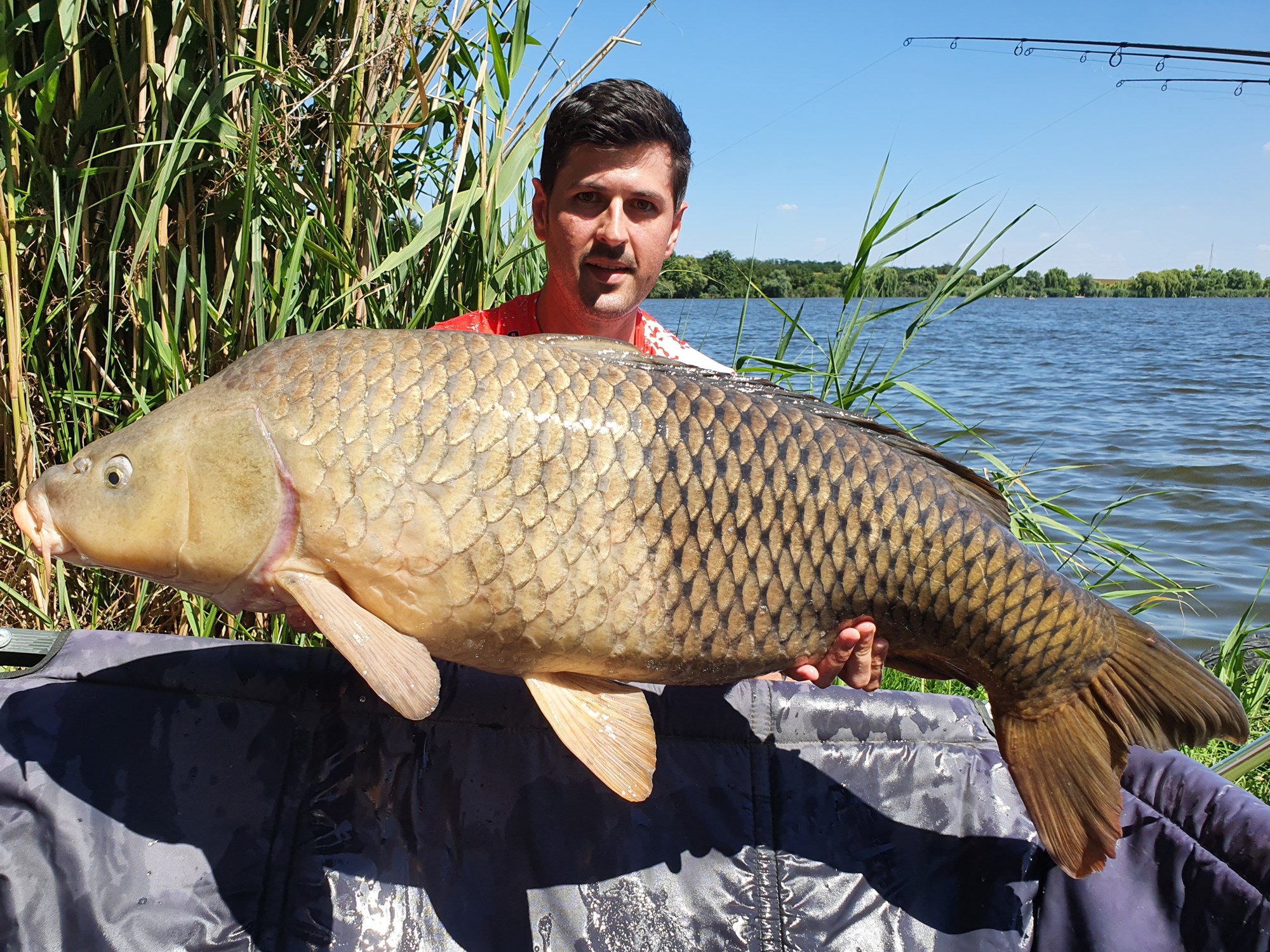 Tancabesti 9 - 12 iulie 2020 - 20200711152758.jpg